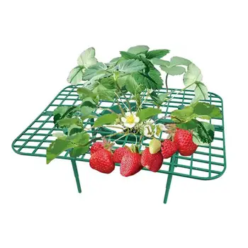 10x Capsuni Stand de Căpșuni în Creștere Usor de Asamblat pentru Gazon Grădină Interioară